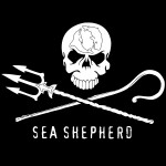 sea shepherd