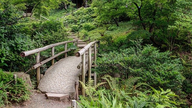 Ikigai – the Japanese way to happiness.